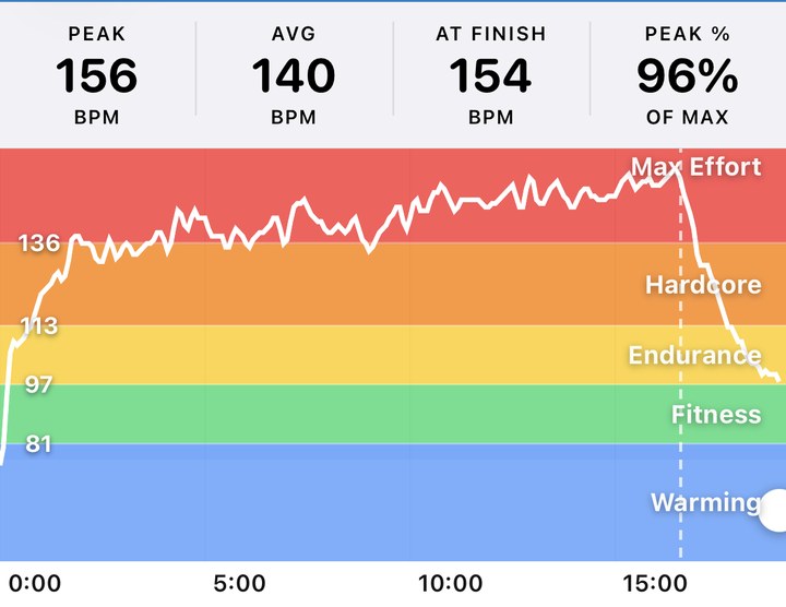 Real app screen: heart rate through a workout drawn across the five zones, peak 156, average 140, 96 percent of max